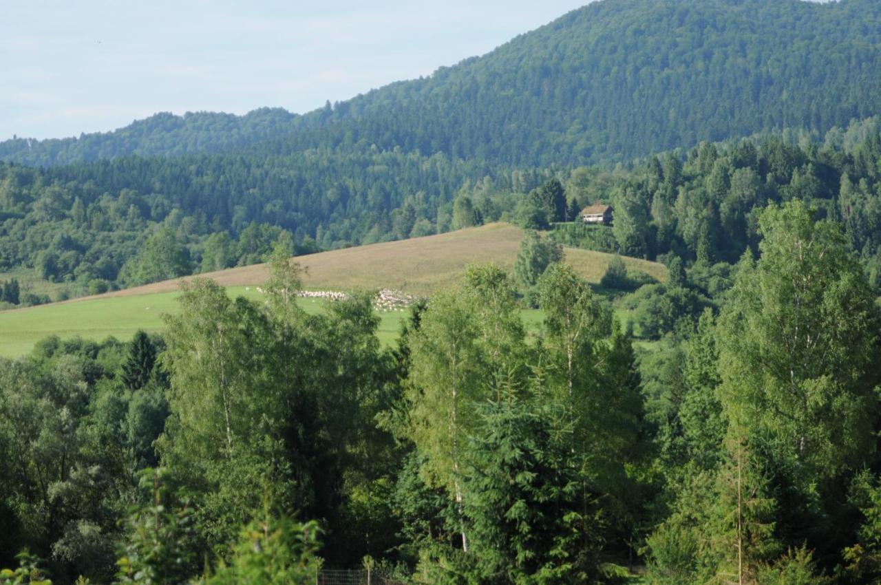 Sowinka Villa Lutowiska Exteriör bild