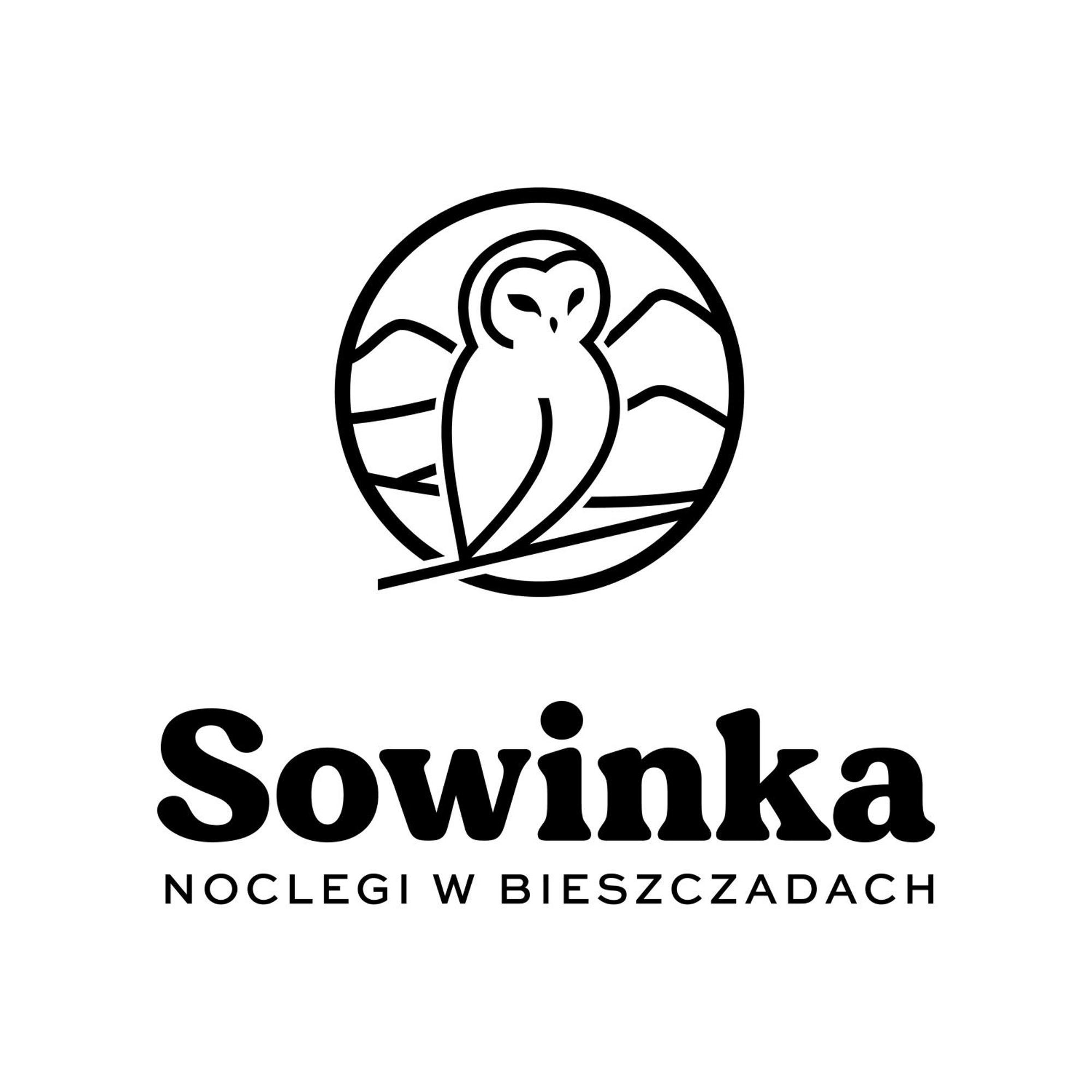 Sowinka Villa Lutowiska Exteriör bild