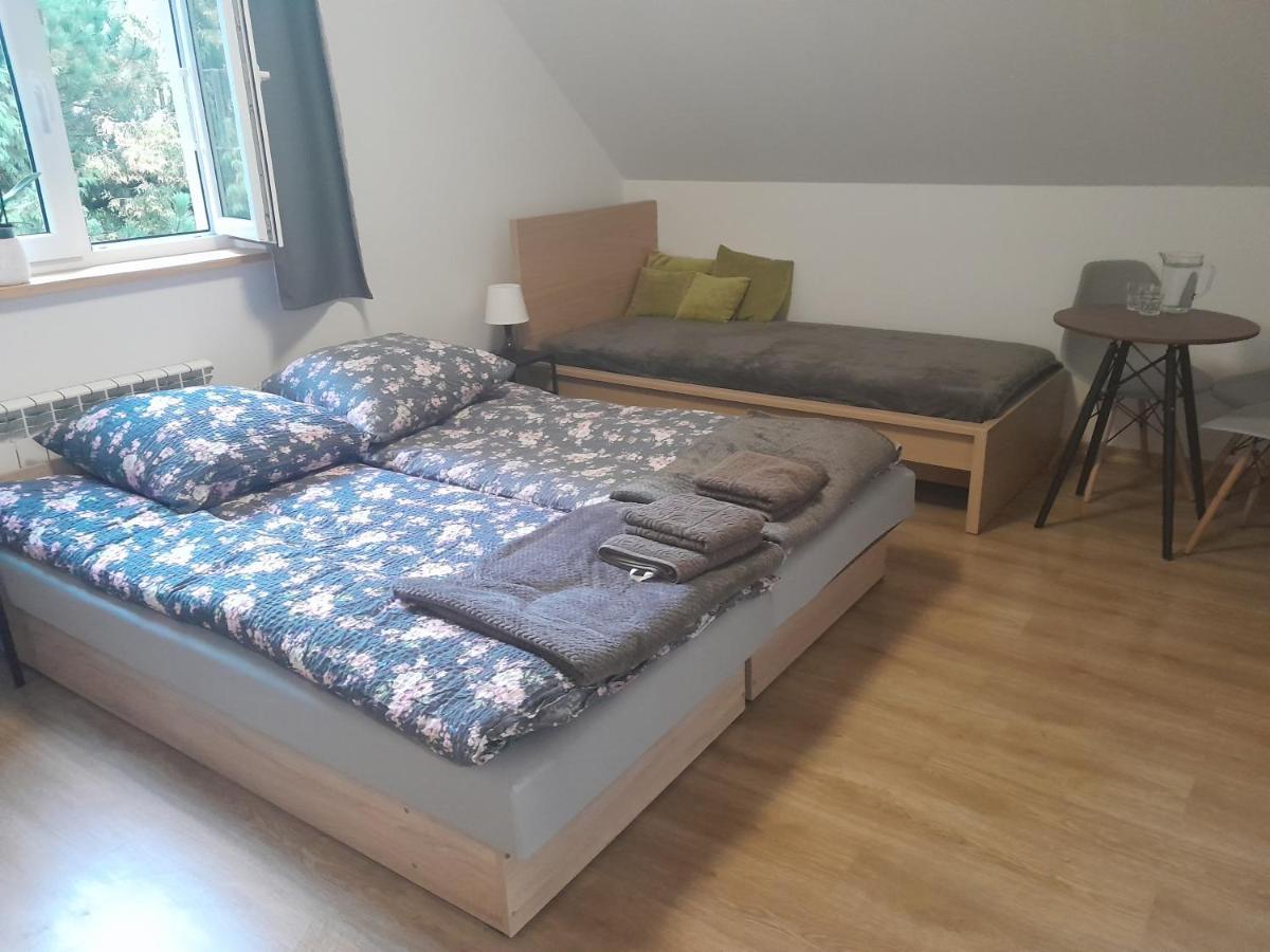 Sowinka Villa Lutowiska Exteriör bild