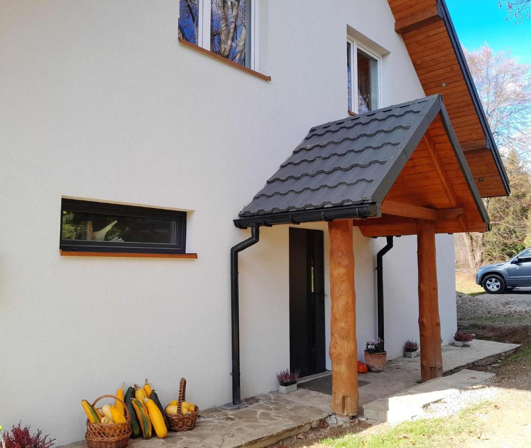Sowinka Villa Lutowiska Exteriör bild