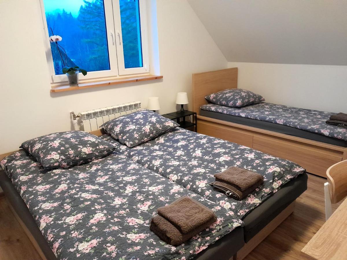 Sowinka Villa Lutowiska Exteriör bild