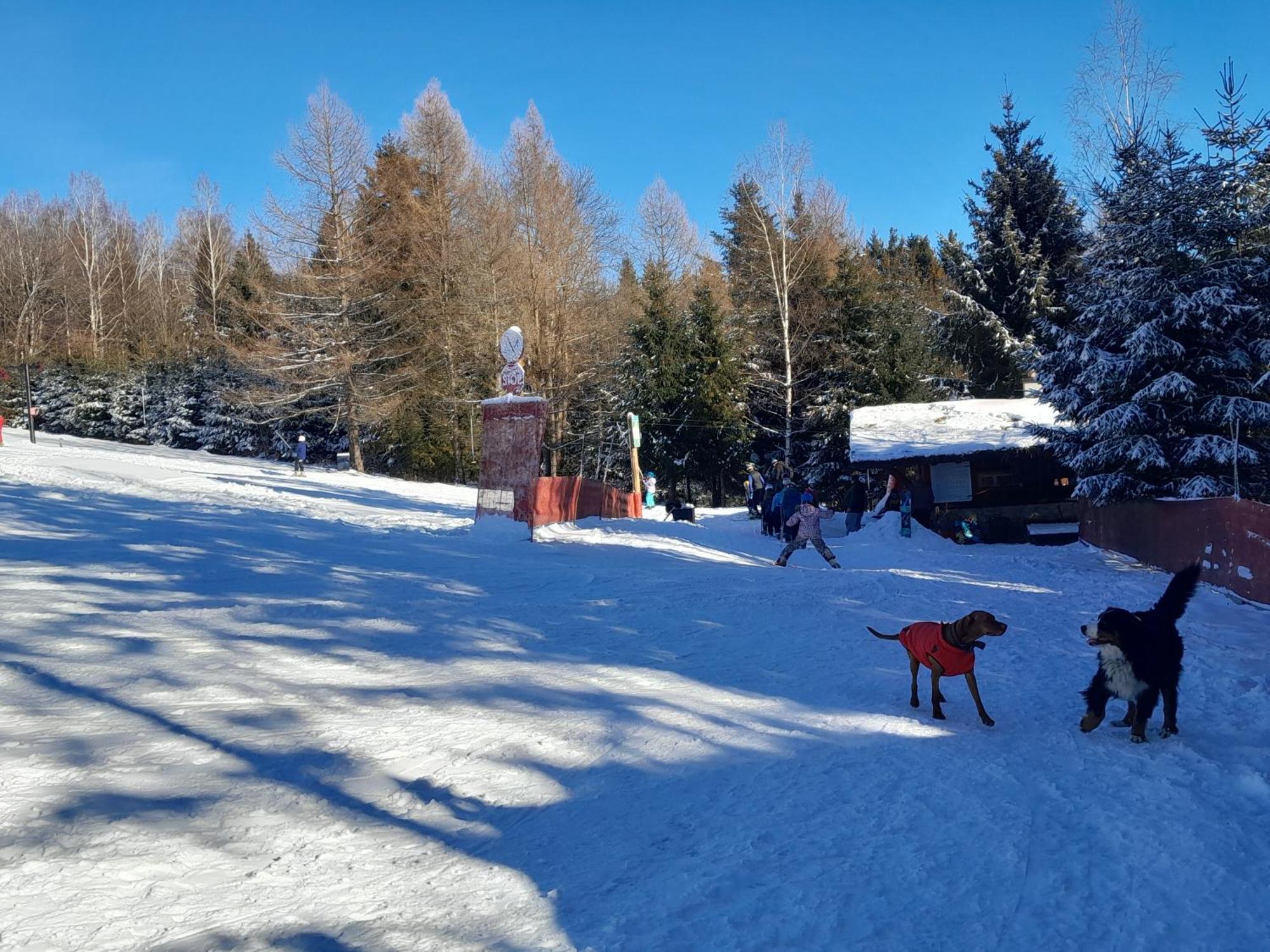 Sowinka Villa Lutowiska Exteriör bild